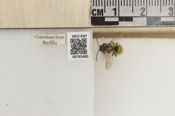 Media type: image;   Entomology 792480 Aspect: Labels